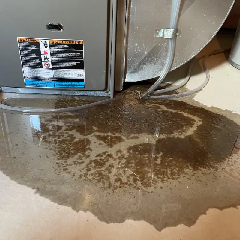 Appliance Leak Cleanup in Del Norte, CO