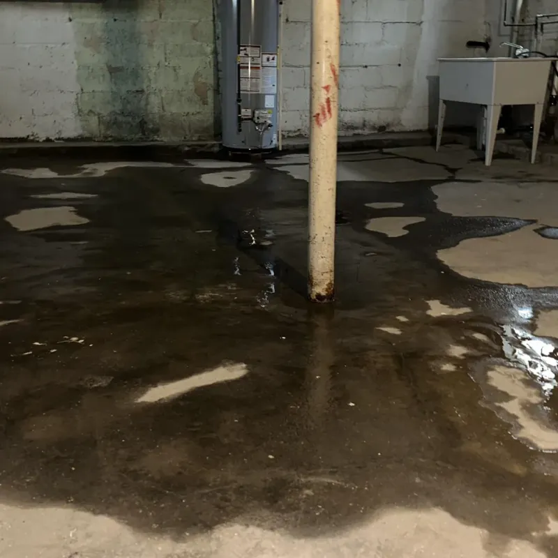 Emergency Water Extraction And Removal in Del Norte, CO